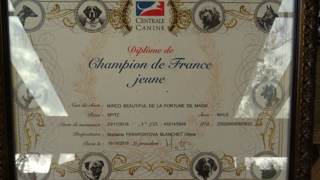 De La Fortune De Magie - Mirco Jeune Champion de France