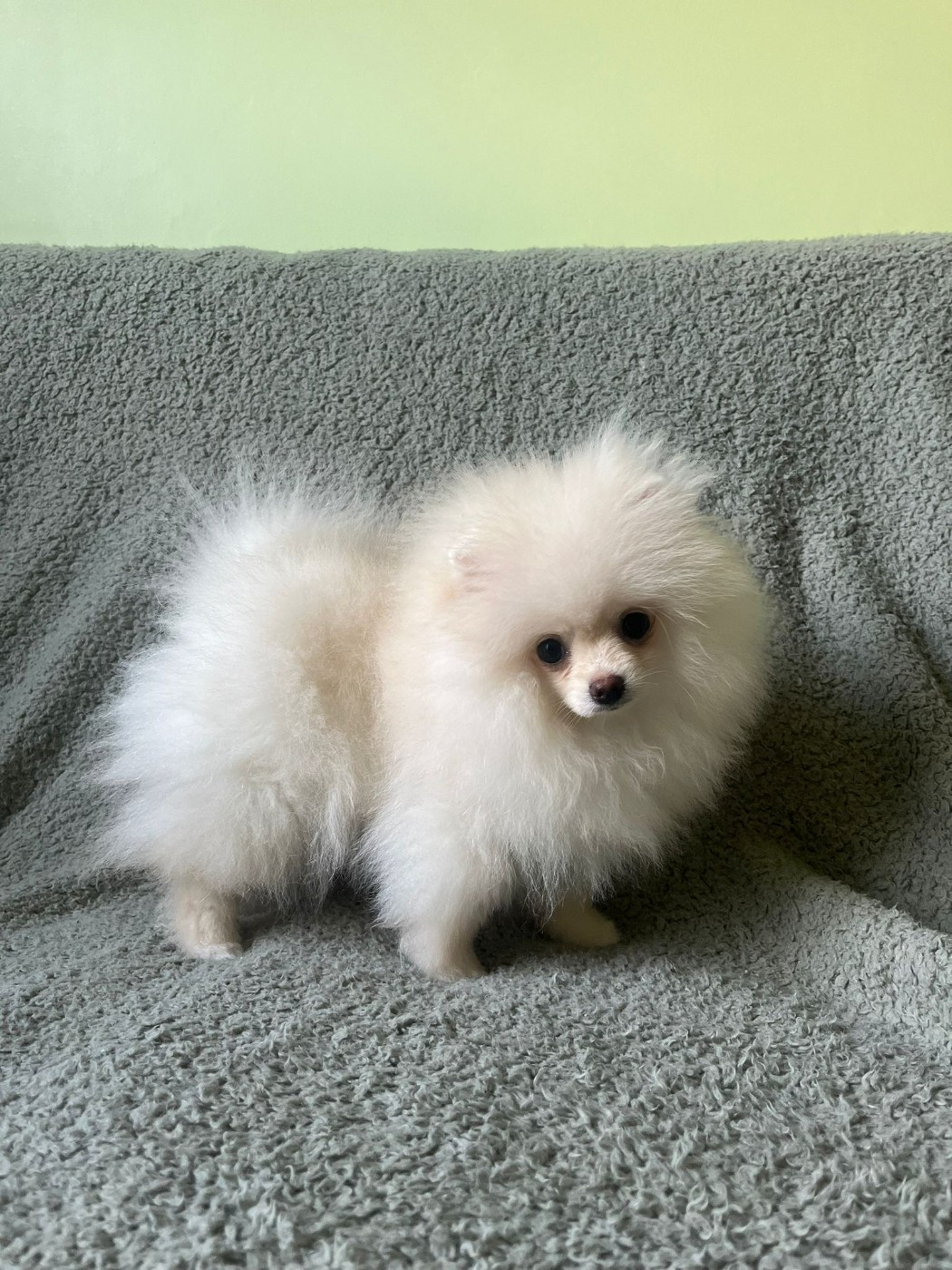 V'Angelina jolie De La Fortune De Magie